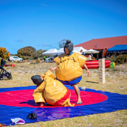 Sumo Suits