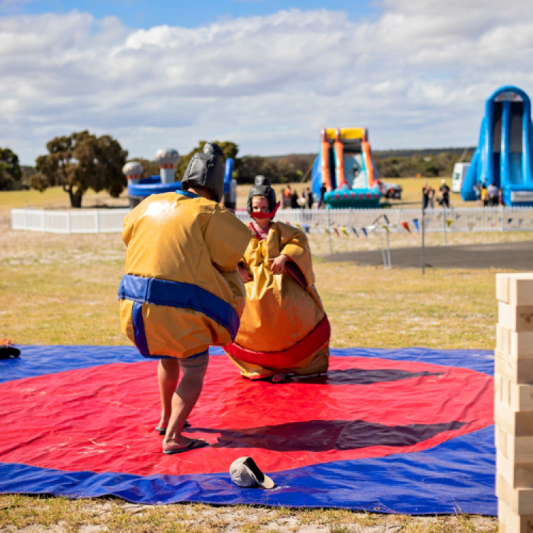 Sumo Suits