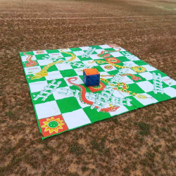 Giant Snakes and Ladders